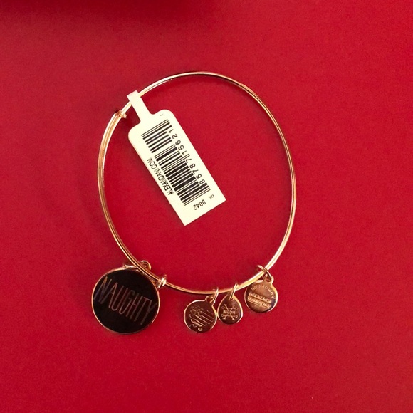 NWT ROSE GOLD ALEX & ANI NAUGHTY/NICE bracelet - Picture 5 of 5